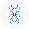 Ant Removals In East Knighton