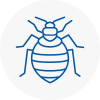 Bed Bug Extermination In East Knighton