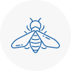 Bee Nest Removal East Knighton