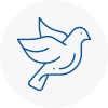 Bird Prevention East Knighton