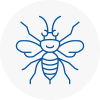 East Knighton Hornet Nest Removals