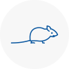 Mice Exterminators In East Knighton