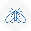 Moth Control Specialists In East Knighton