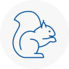 East Knighton Rodent Removals